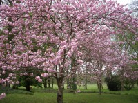 /album/hotel-du-vieux-ch%c3%a2teau/photo-hotel-118-jpg/